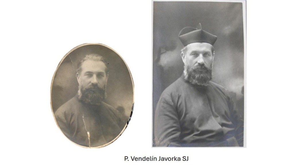 vendel javorka
